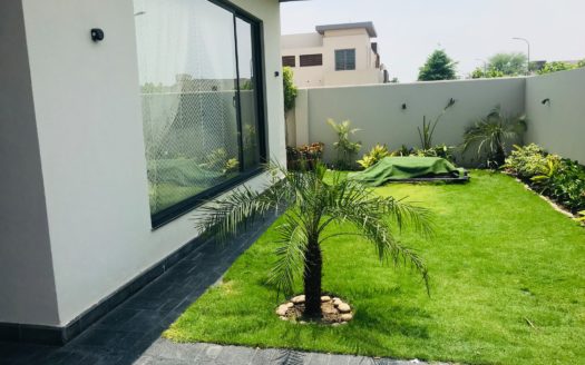 Modern Bungalow For Rent