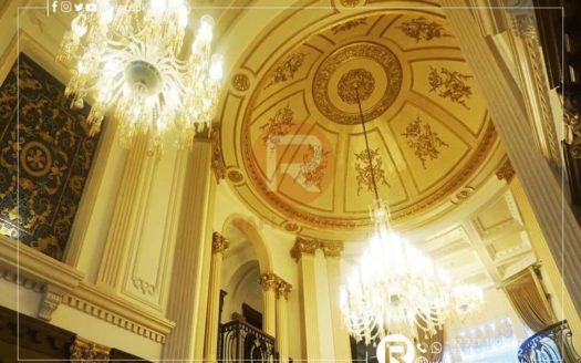 30 MARLA Fully Furnished Brand New Faisal Rasool Design House